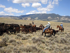 USA-Montana-Lonesome Spur Ranch